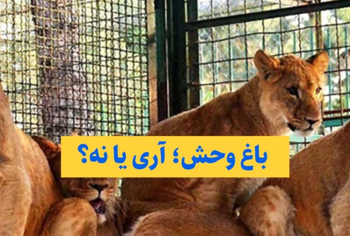 خلا قانونی در قاچاق حیات وحش؛ باغ‌وحش‌ها مالک جان حیواناتند